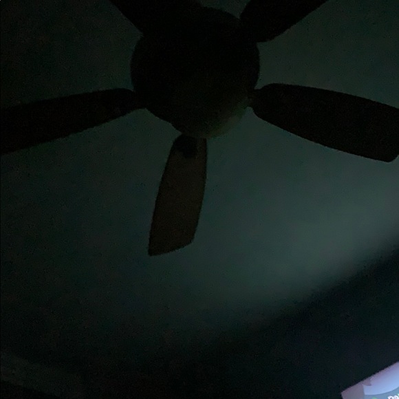 Meet your Posher, Daniel - Picture 1 of 1